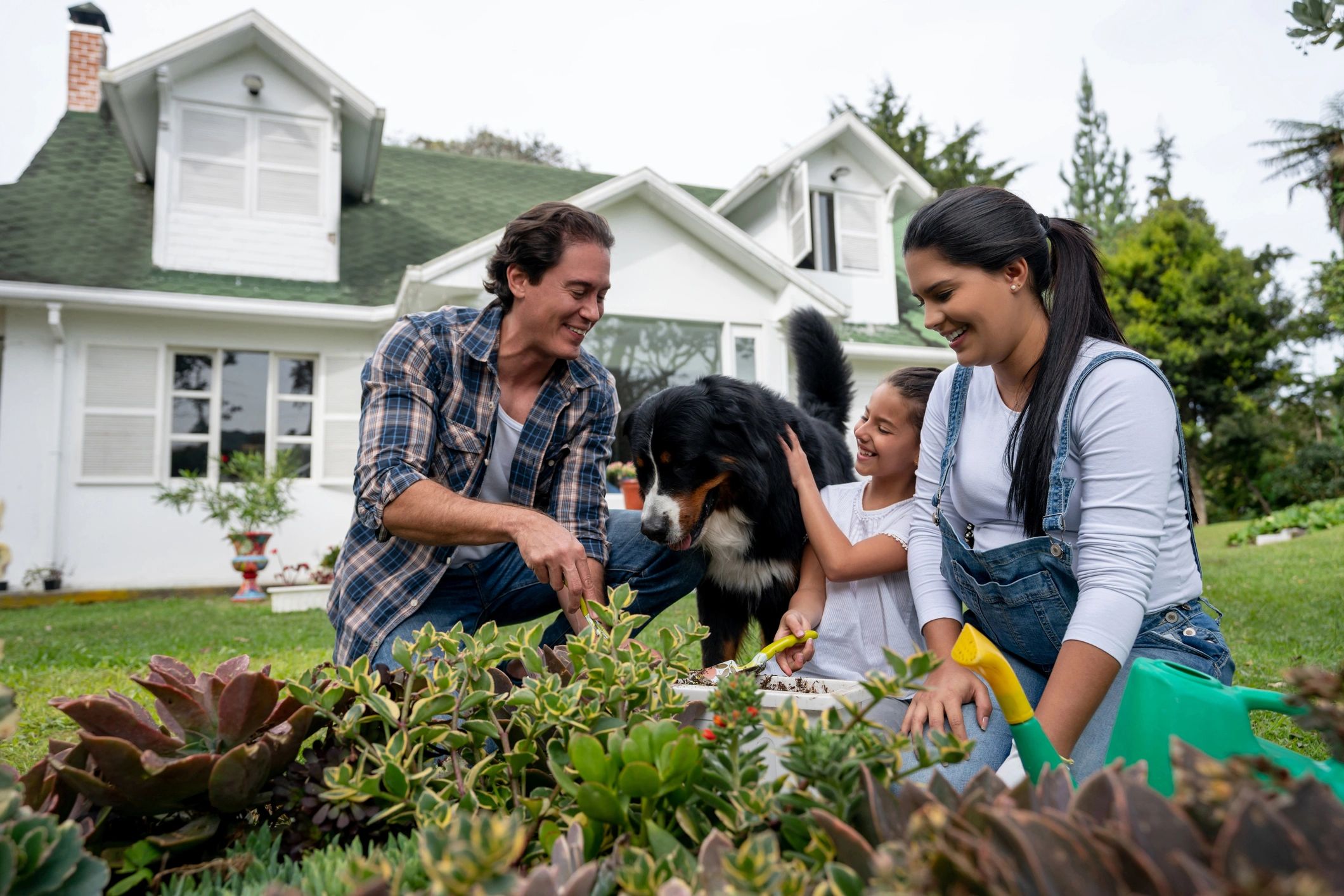 happy homeowner testimonial